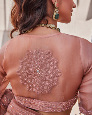Soft Onion Pink Saree