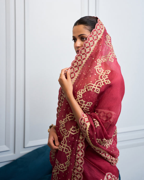 Berry Dori Embroidered Organza Saree
