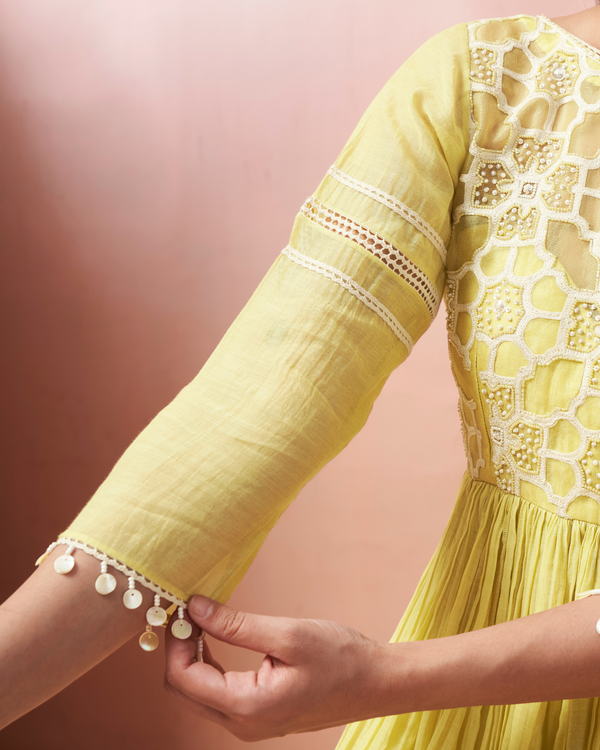 Lime Ivory Organza Silk Palazzo Set