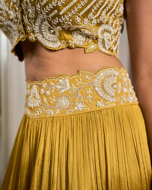 Mustard Cape Lehenga