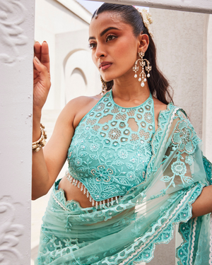 Iconic Retro Net Saree