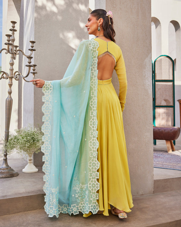Summer Lime Yellow Anarkali Set