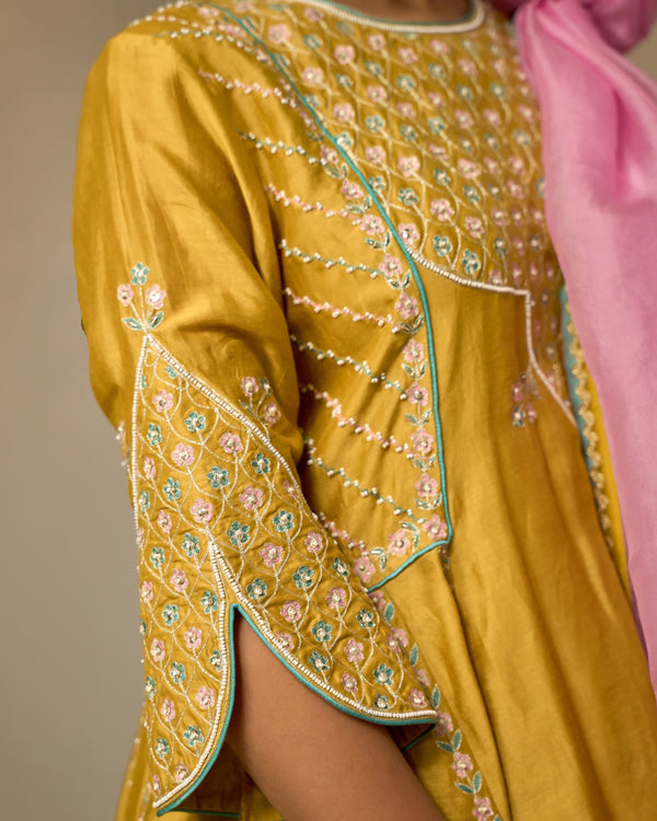 Amber & Rose Chanderi Suit Set