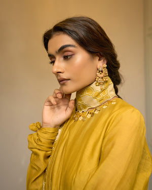 Canary Embroidered Chanderi Anarkali Set