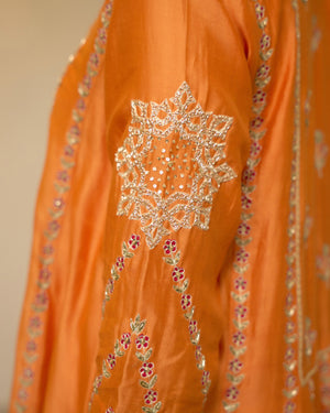 Cinnamon Embroidered Chanderi Suit Set